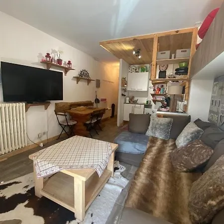 Le Schuss Montagne En Bas Des Pistes Appartement