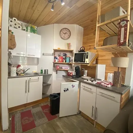 Le Schuss Montagne En Bas Des Pistes Apartment *