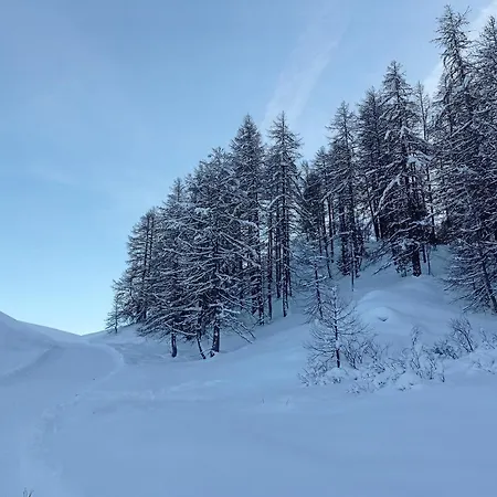 Le Schuss Montagne En Bas Des Pistes Vars (Hautes-Alpes)