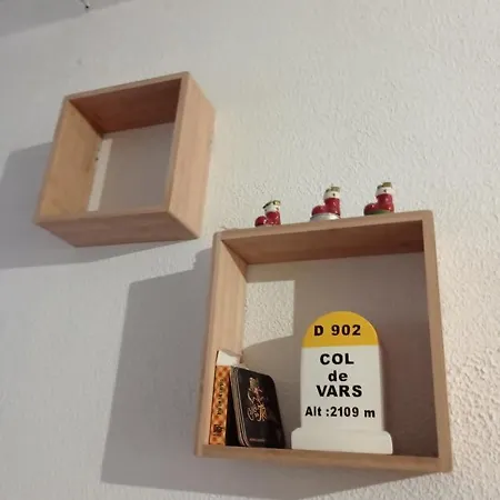 Le Schuss Montagne En Bas Des Pistes Appartement